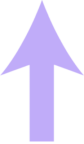 xpoletv